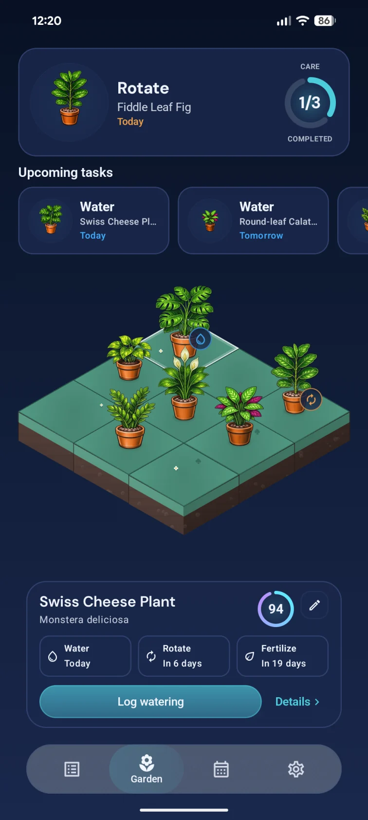 Your garden