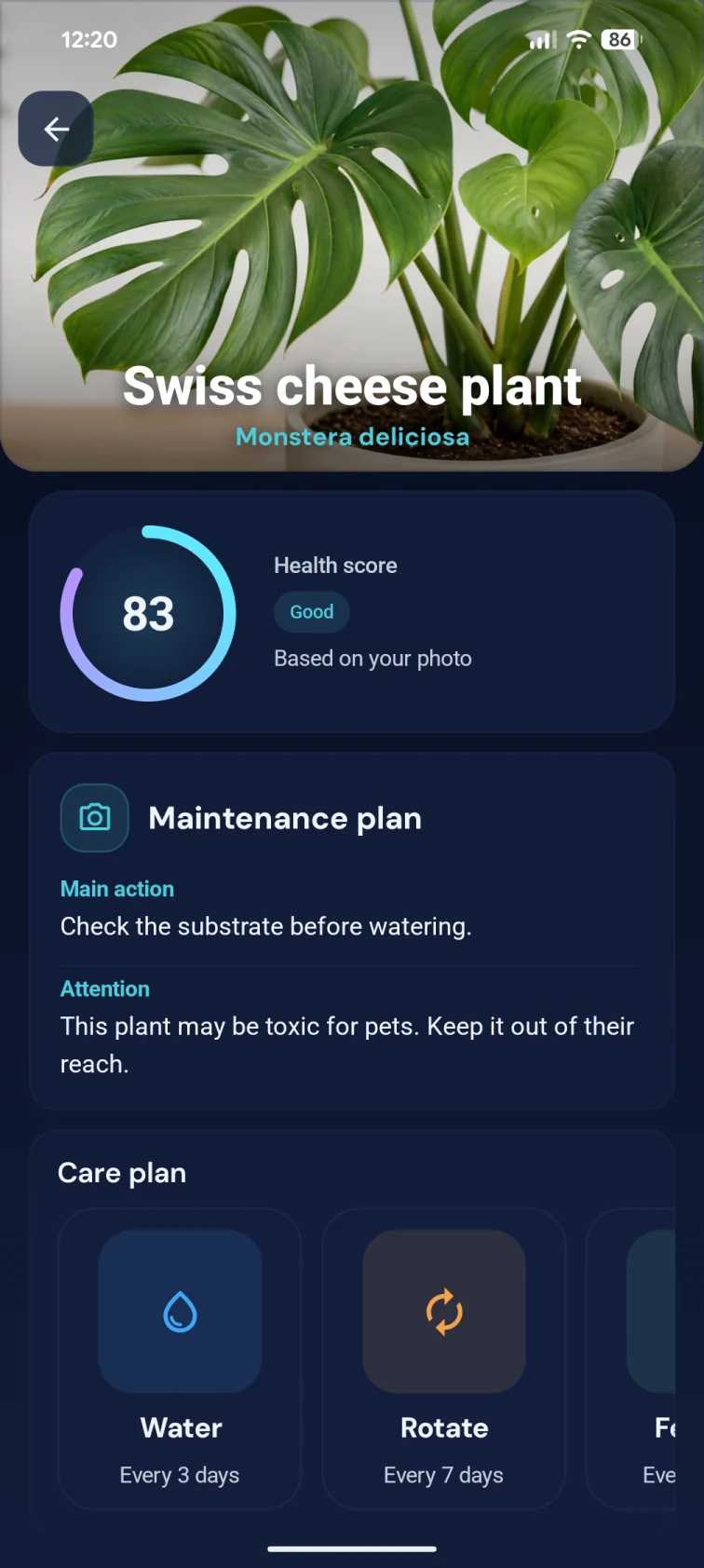 Monstera profile