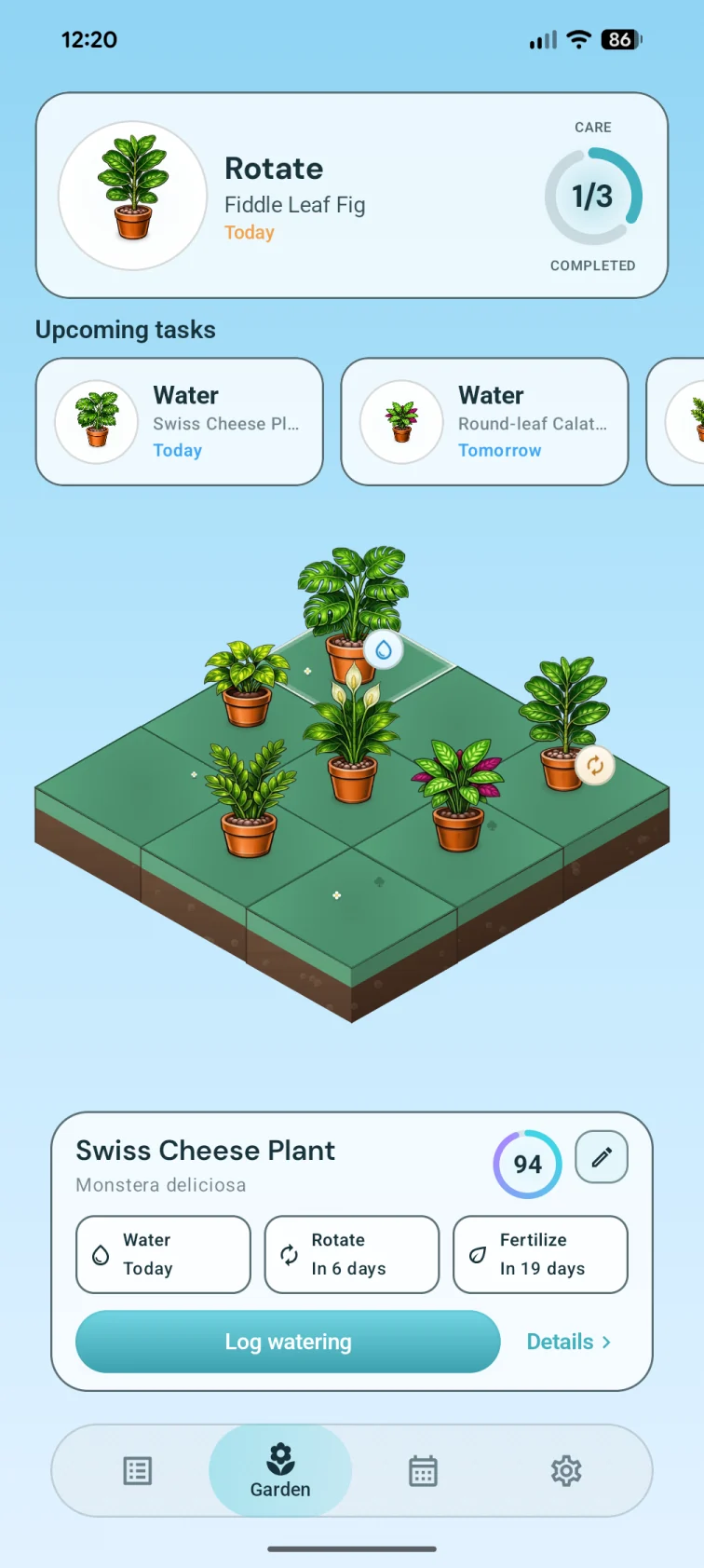Your garden
