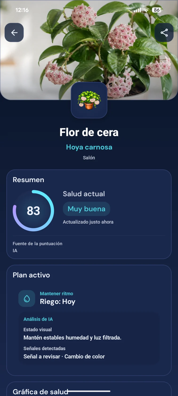 Ficha de Hoya