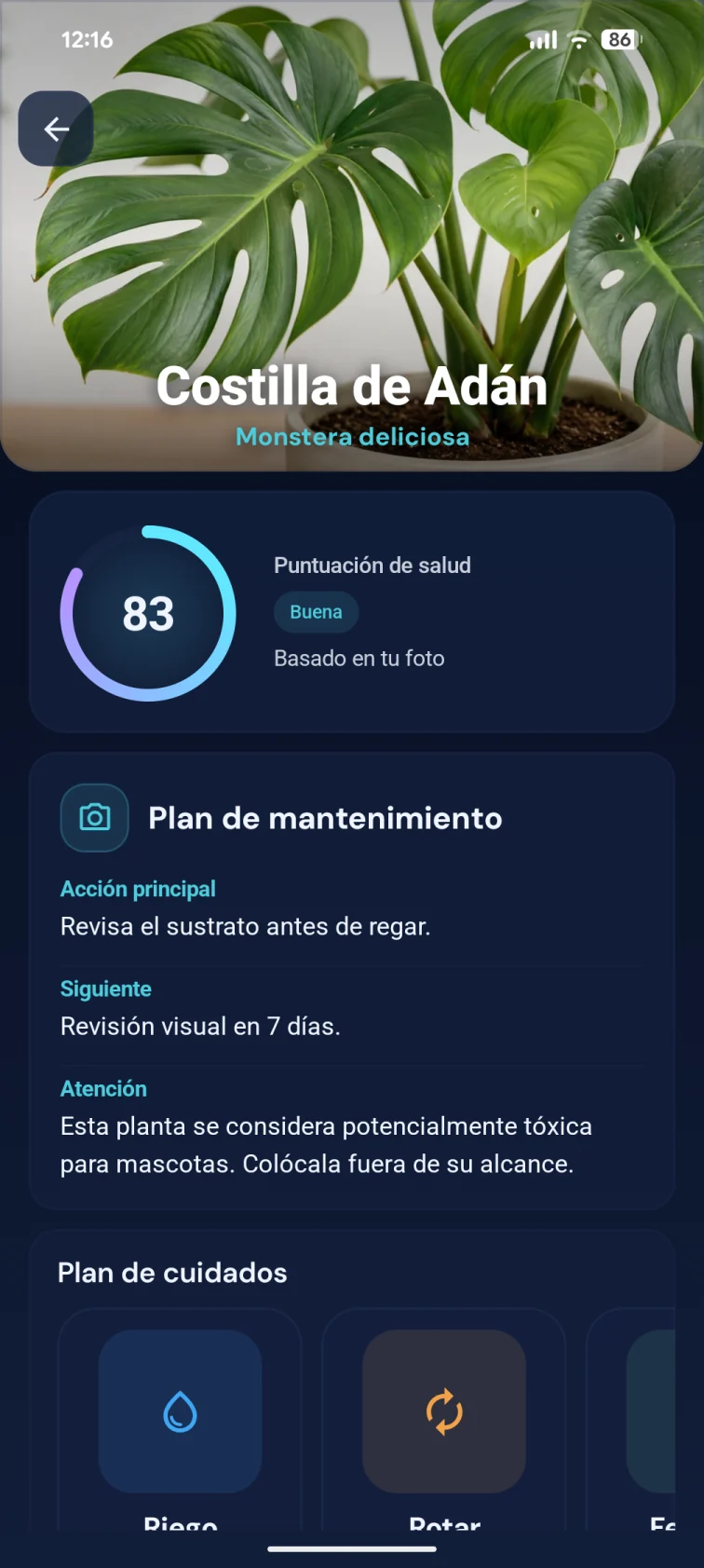 Ficha de Monstera